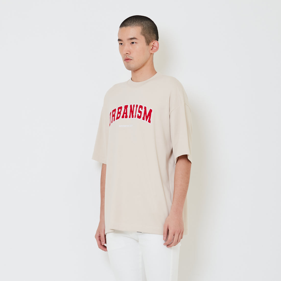 Men Embroidery Oversized Tee - SM2410188